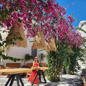 Meet your Posher, Joyce